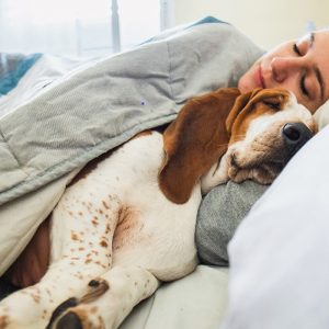 sleeping with your pet